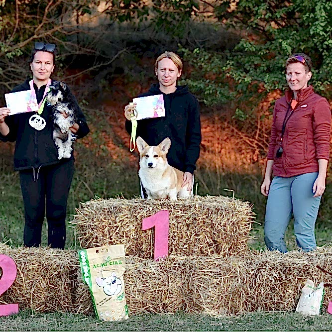 Результаты наших спортсменов:

🌟Ксюша и Лилу - Д- Open 🏆 1 место, А-1🏆 - второе место , Д1🏆 - второе место на обеих трассах.

🌟Влада и Пончик - Д-0 🏆 второе и третье место на первой и второй трассе.

🌟Кристина и Булка - Д1 🏆 первое место.