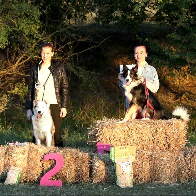 Результаты наших спортсменов:

🌟Ксюша и Лилу - Д- Open 🏆 1 место, А-1🏆 - второе место , Д1🏆 - второе место на обеих трассах.

🌟Влада и Пончик - Д-0 🏆 второе и третье место на первой и второй трассе.

🌟Кристина и Булка - Д1 🏆 первое место.