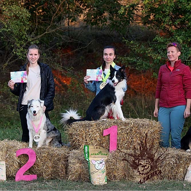 Результаты наших спортсменов:

🌟Ксюша и Лилу - Д- Open 🏆 1 место, А-1🏆 - второе место , Д1🏆 - второе место на обеих трассах.

🌟Влада и Пончик - Д-0 🏆 второе и третье место на первой и второй трассе.

🌟Кристина и Булка - Д1 🏆 первое место.