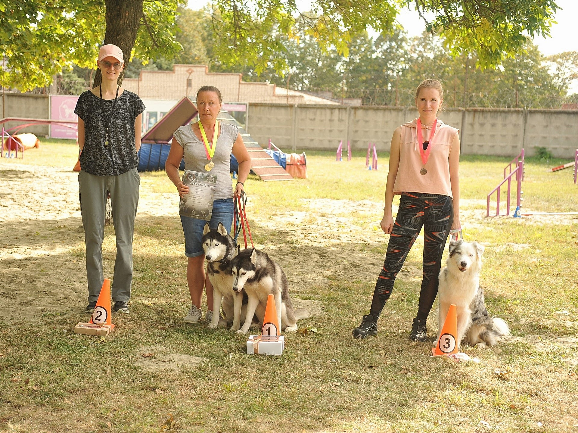 На нашей площадке 2 октября прошли квалификационные испытания по аджилити по судейством Гагариновой Дарьи.