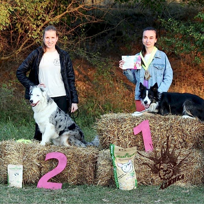 Результаты наших спортсменов:

🌟Ксюша и Лилу - Д- Open 🏆 1 место, А-1🏆 - второе место , Д1🏆 - второе место на обеих трассах.

🌟Влада и Пончик - Д-0 🏆 второе и третье место на первой и второй трассе.

🌟Кристина и Булка - Д1 🏆 первое место.