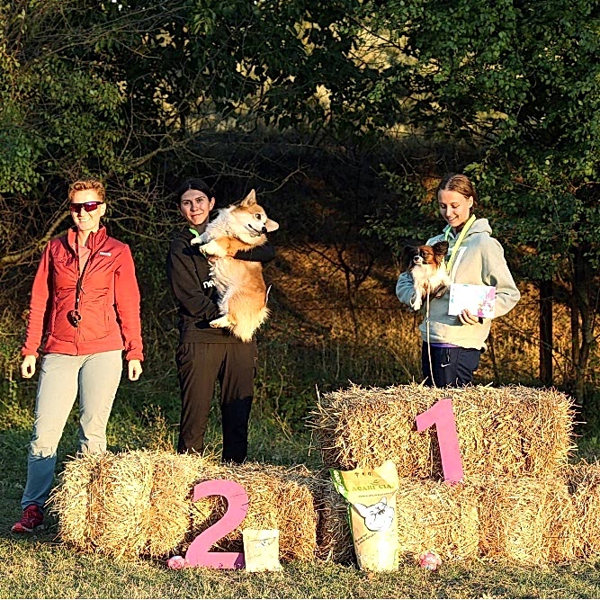 Результаты наших спортсменов:

🌟Ксюша и Лилу - Д- Open 🏆 1 место, А-1🏆 - второе место , Д1🏆 - второе место на обеих трассах.

🌟Влада и Пончик - Д-0 🏆 второе и третье место на первой и второй трассе.

🌟Кристина и Булка - Д1 🏆 первое место.