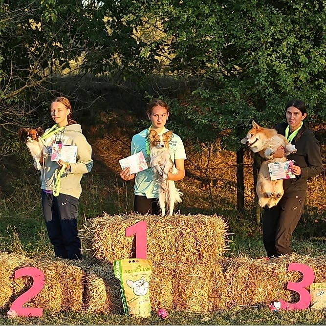 Результаты наших спортсменов:

🌟Ксюша и Лилу - Д- Open 🏆 1 место, А-1🏆 - второе место , Д1🏆 - второе место на обеих трассах.

🌟Влада и Пончик - Д-0 🏆 второе и третье место на первой и второй трассе.

🌟Кристина и Булка - Д1 🏆 первое место.