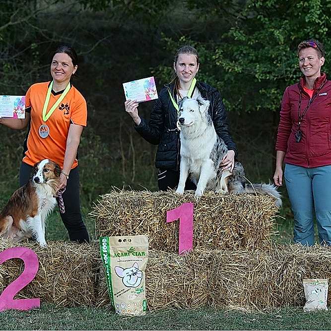 Результаты наших спортсменов:

🌟Ксюша и Лилу - Д- Open 🏆 1 место, А-1🏆 - второе место , Д1🏆 - второе место на обеих трассах.

🌟Влада и Пончик - Д-0 🏆 второе и третье место на первой и второй трассе.

🌟Кристина и Булка - Д1 🏆 первое место.