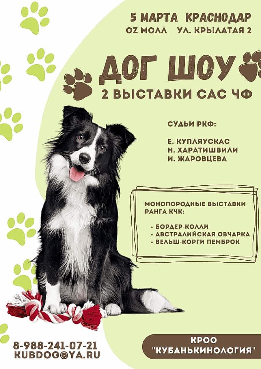 ДОГ ШОУ г. Алматы 5 марта 2023 года