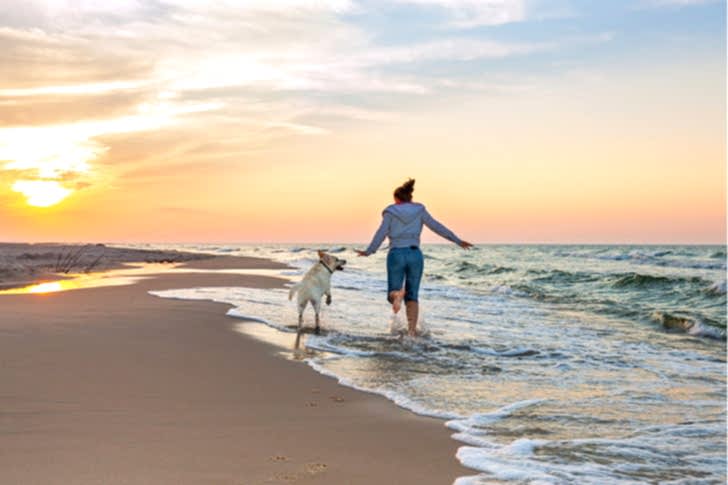 druzyanamore pes i chelovek